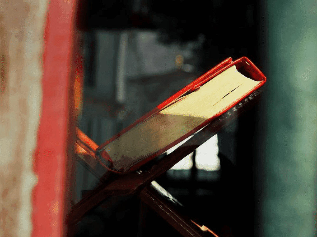 Livro revela por que a cannabis é proibida e como exercer direitos individuais