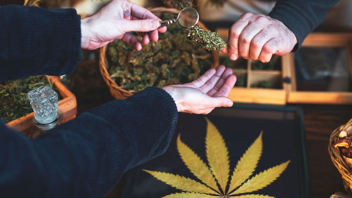 Mercado de tabacaria movimenta R$ 870 milhões no Brasil; parceria entre Bem Bolado e Planet Hemp reforça o potencial do segmento