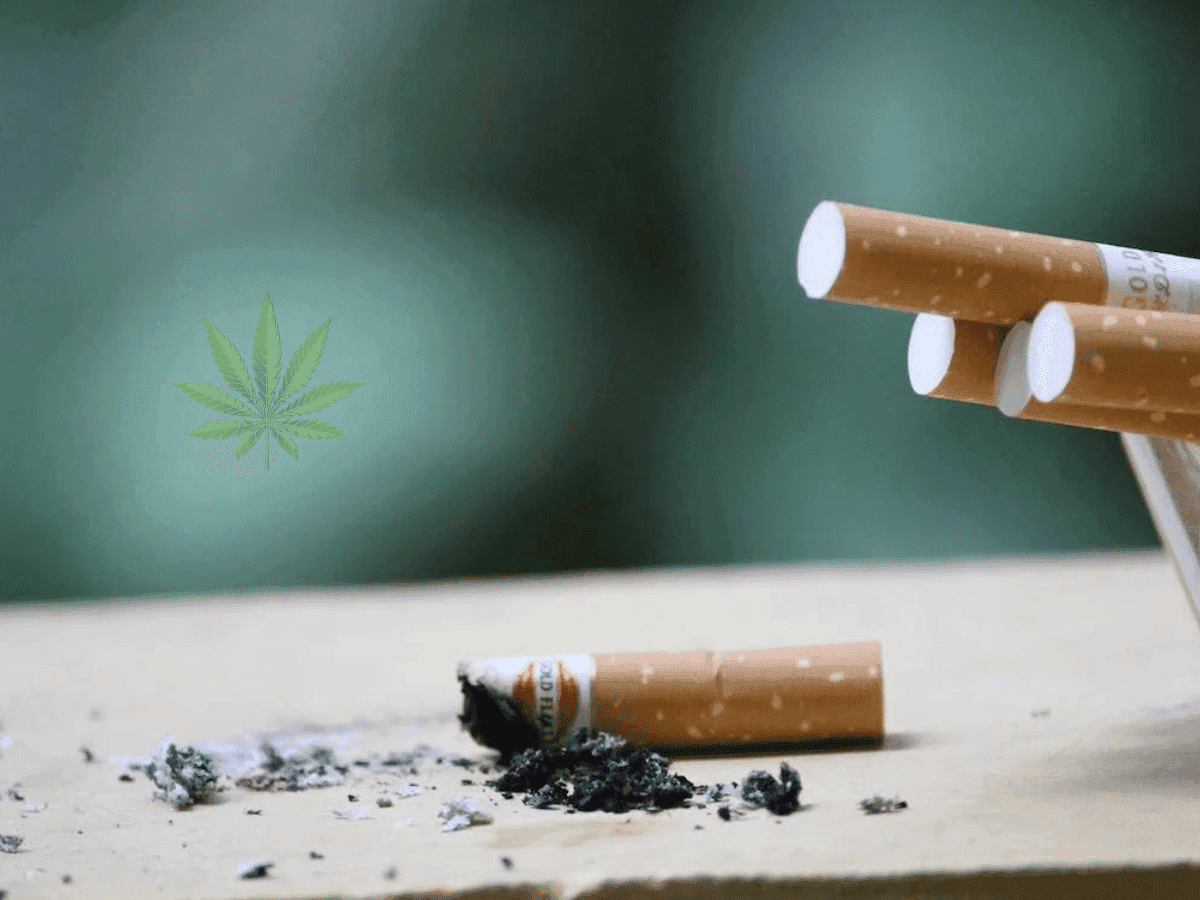 Maconha e tabaco, existe uma correlação com a saúde mental?