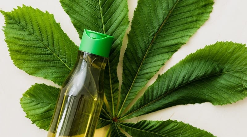 Marca brasileira de lubrificantes à base de cannabis é premiada na Alemanha