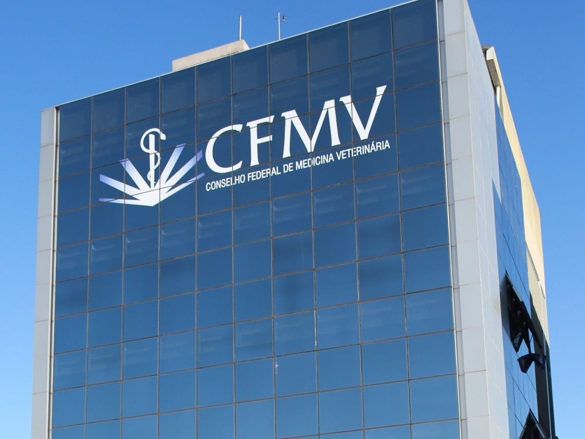 Médicos veterinários lutam para incluir produtos de cannabis na terapia animal