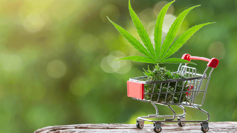 Mercado adulto de cannabis mantém tendência de alta no Novo México