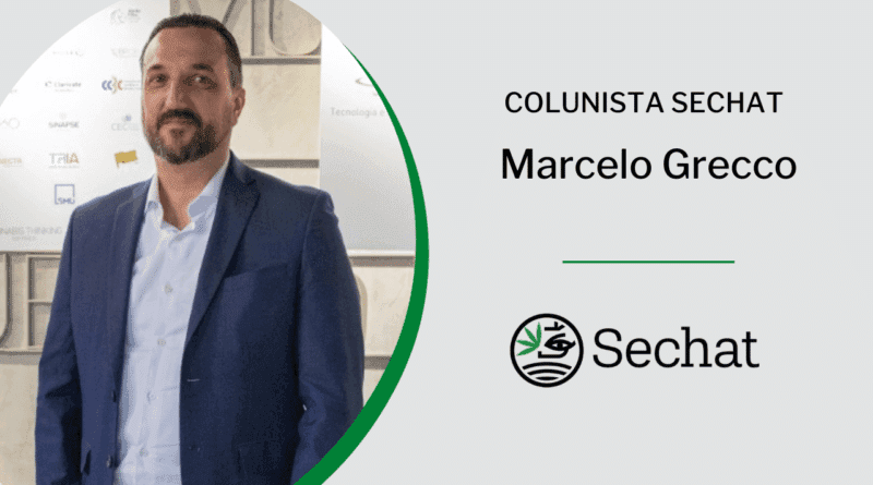 Mercado mundial da cannabis e do cânhamo poderá ser trilionário