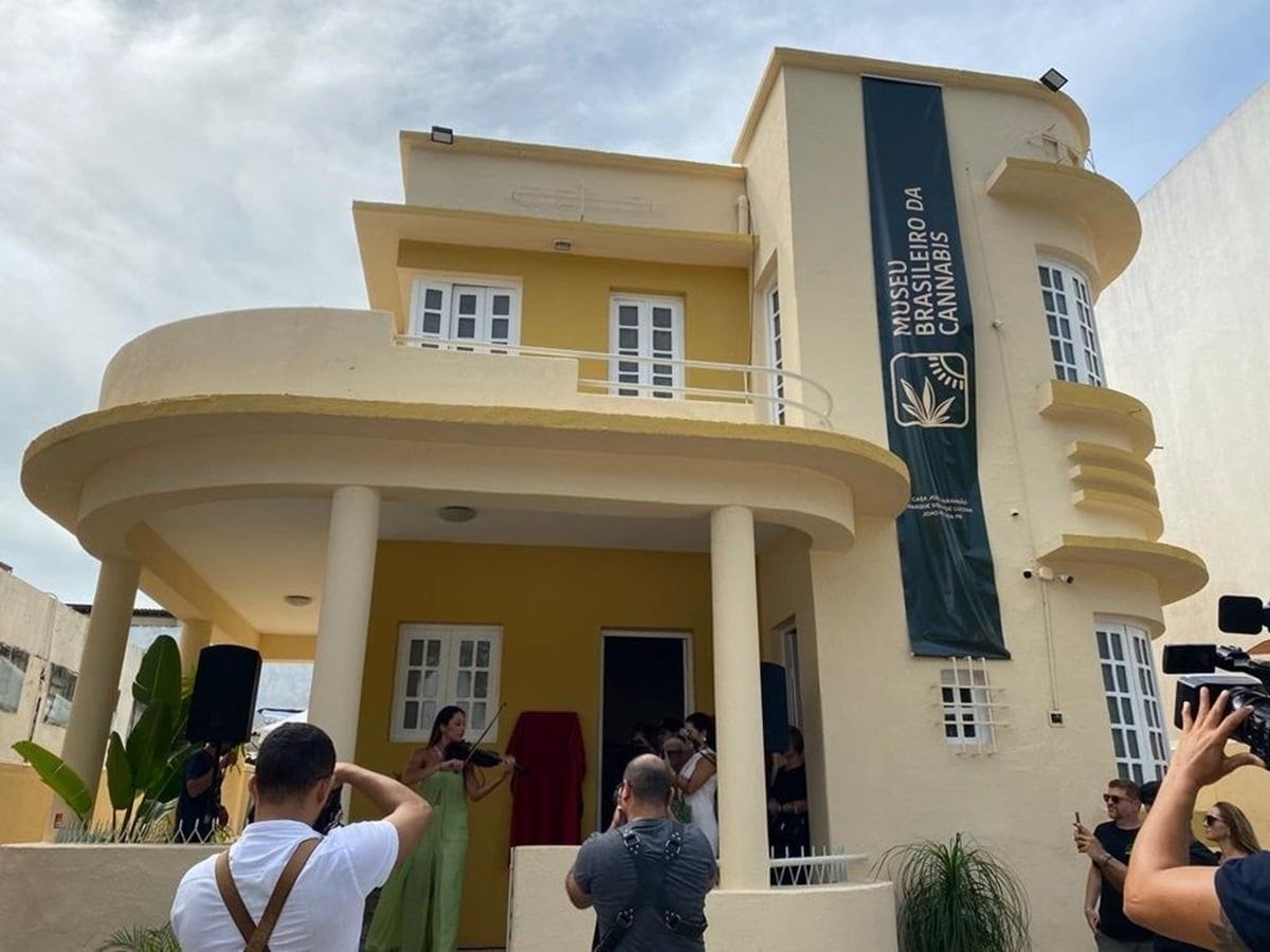 Museu Brasileiro da Cannabis abre edital para expositores