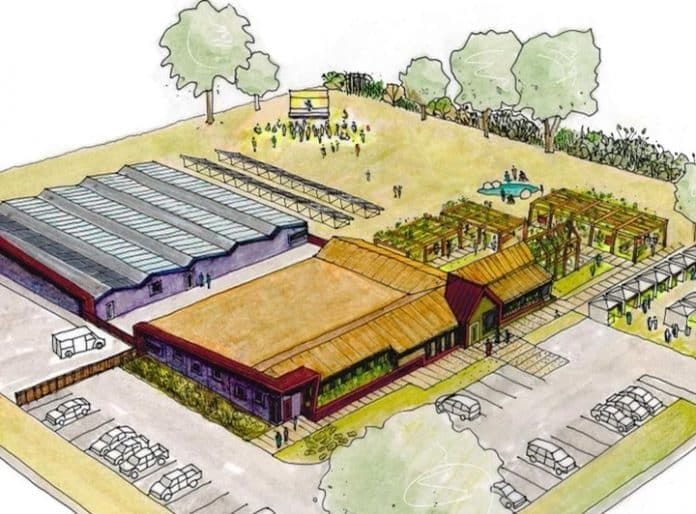 Negócio milionário promete revolucionar mercado de cannabis com geração de emprego, cultivo e restaurante