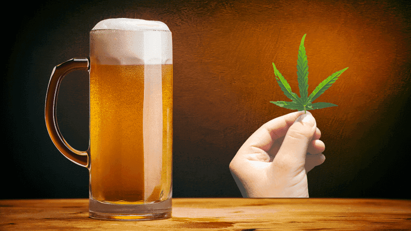 Negócios da cannabis: cervejarias investem nos terpenos para “driblar” a legislação