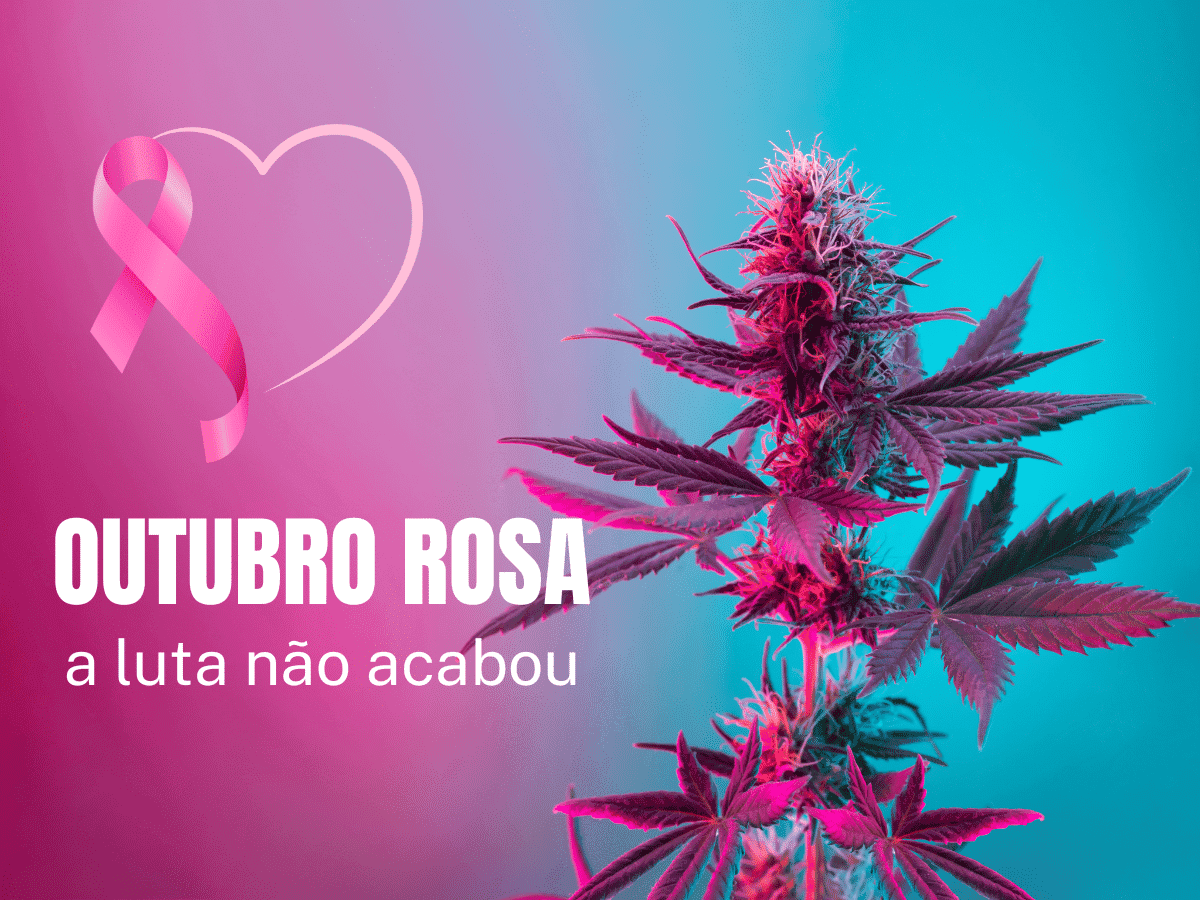 O Outubro Rosa "não acabou": cannabis pode auxiliar tratamento contra o câncer de mama