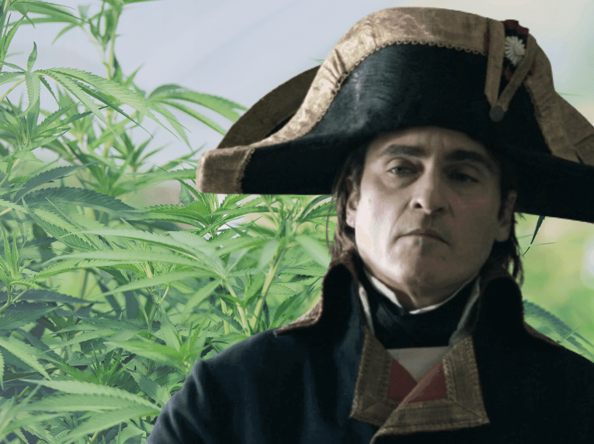 O cânhamo, o haxixe e as guerras de Napoleão: uma odisseia canábica no Egito