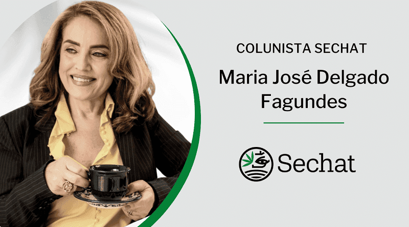 O caos que pede debate e atitude: a judicialização da cannabis medicinal no Brasil