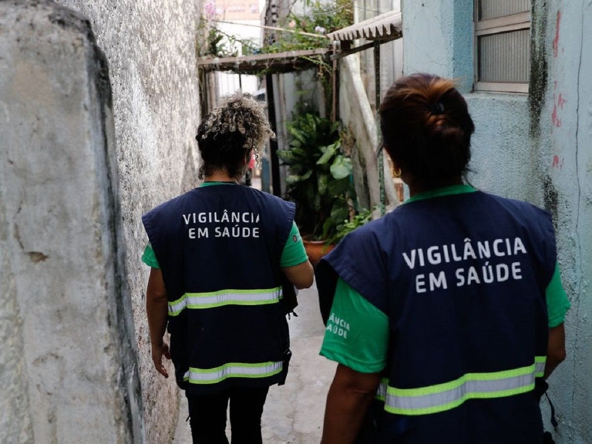 O papel da cannabis no controle de vetores da dengue