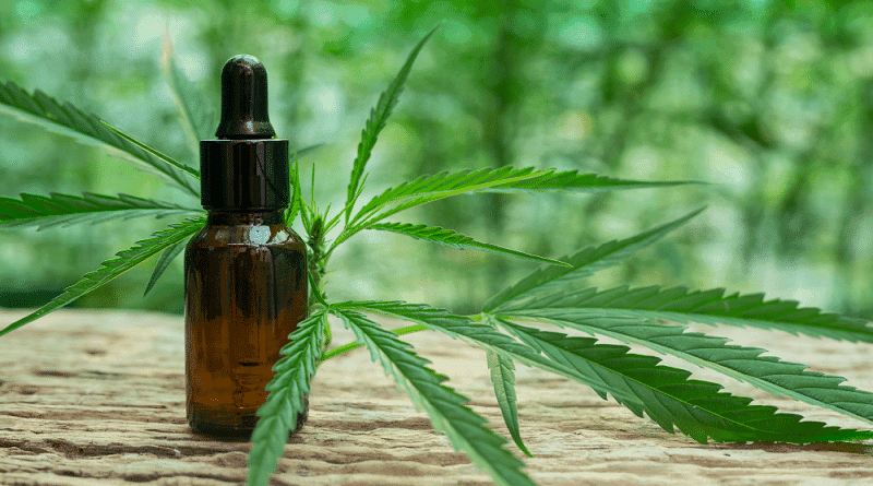 O potencial terapêutico da cannabis para a Esclerose Múltipla