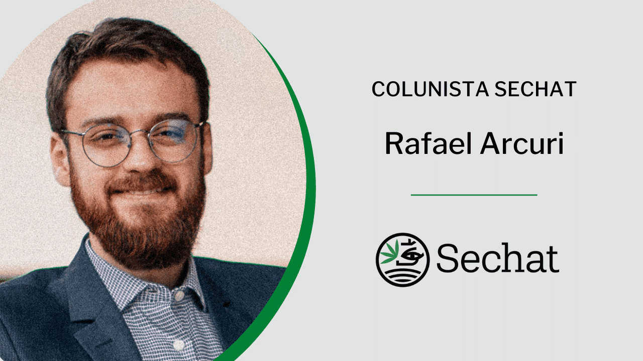 O que esperar para 2024 no mercado de cannabis no Brasil?