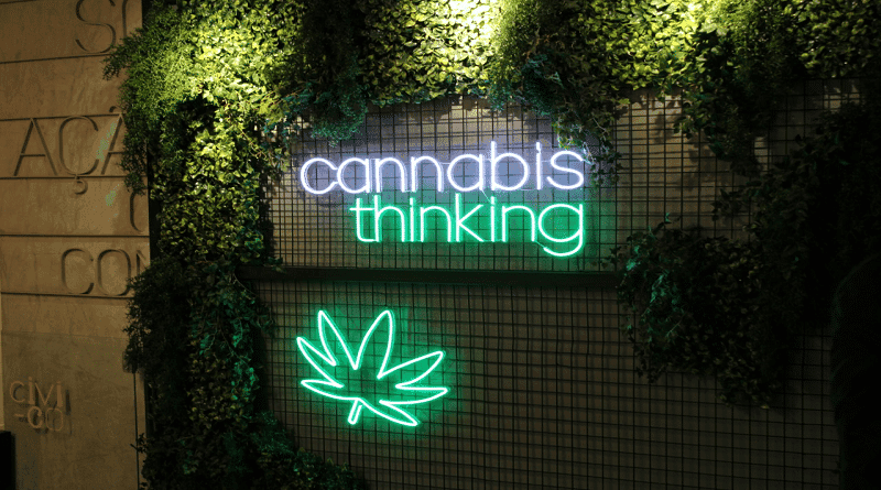 O que está acontecendo agora no Cannabis Thinking