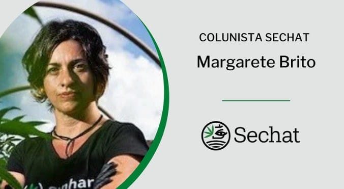 O que você não sabia sobre a distribuição de CANABIDIOL PELO SUS