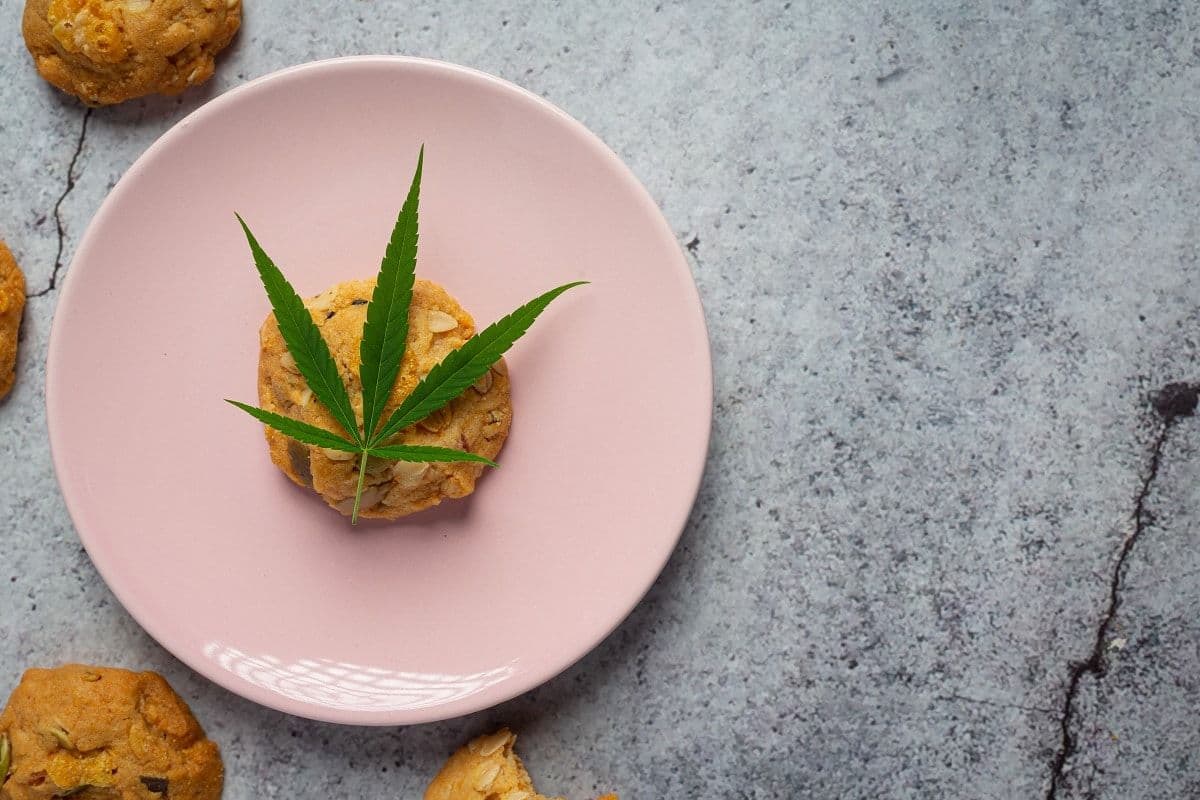 O relógio da cannabis: Quanto tempo leva para os comestíveis fazerem efeito
