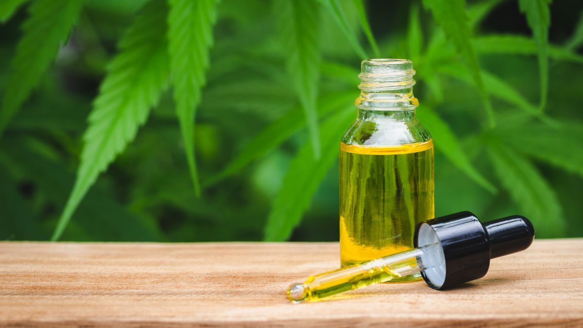 Anvisa proíbe produtos de cannabis de duas empresas por venda irregular