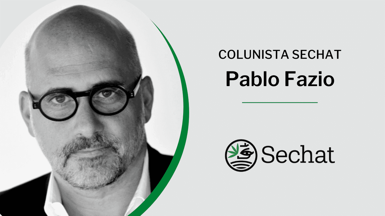 Os surtos da industria da cannabis na Argentina