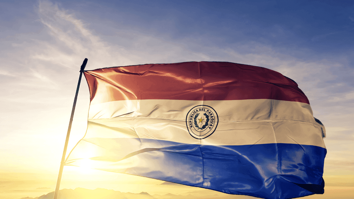Paraguai pode arrecadar até USD 81 bilhões com nova lei do cânhamo industrial