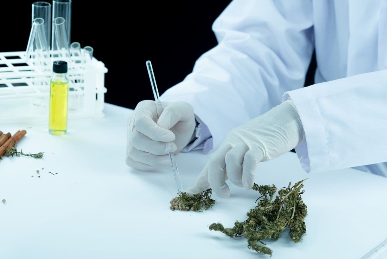 UnB study highlights benefits of cannabidiol in treating crack dependence