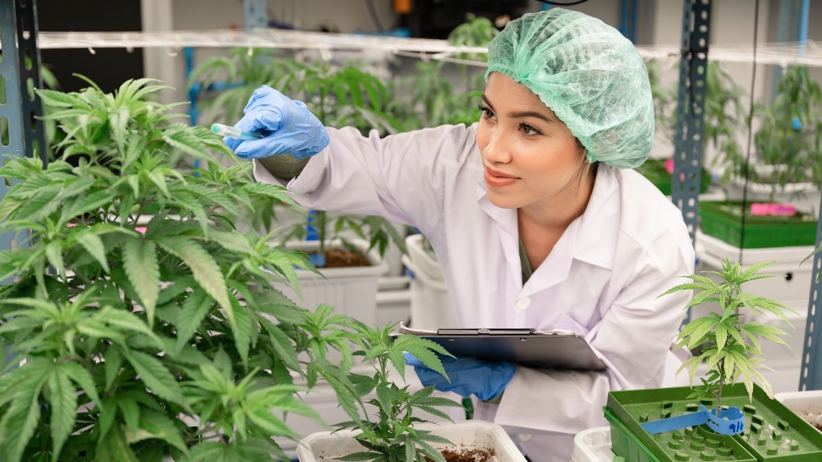 Universidades do Paraná impulsionam debate sobre cannabis com nova parceria e fórum Estadual