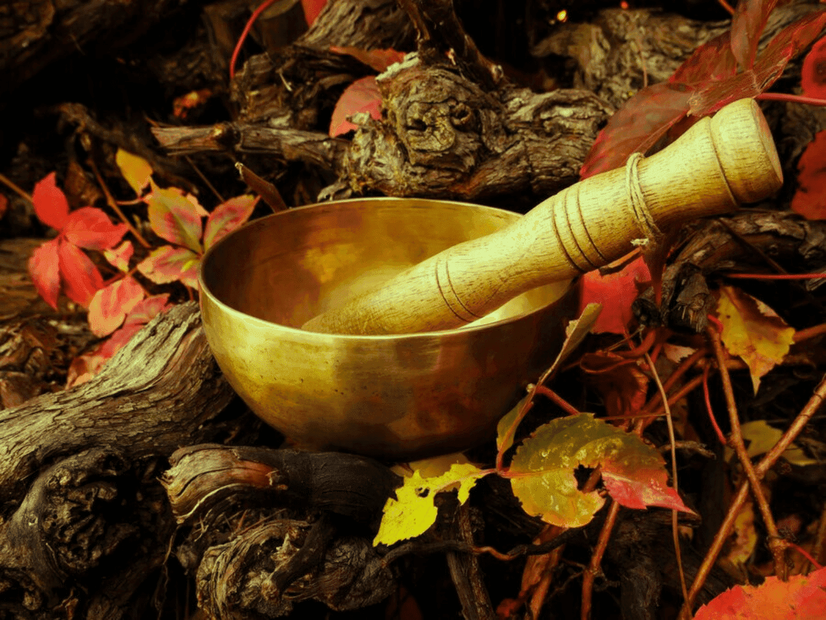 Pesquisa com "minicérebros" busca entender os efeitos da Ayahuasca