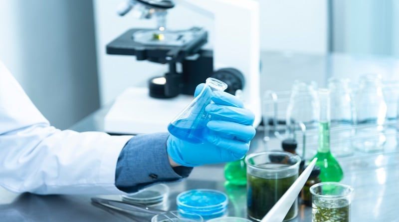 Pesquisa em universidade analisa efeitos prolongados de medicamentos à base de cannabis na medicina veterinária