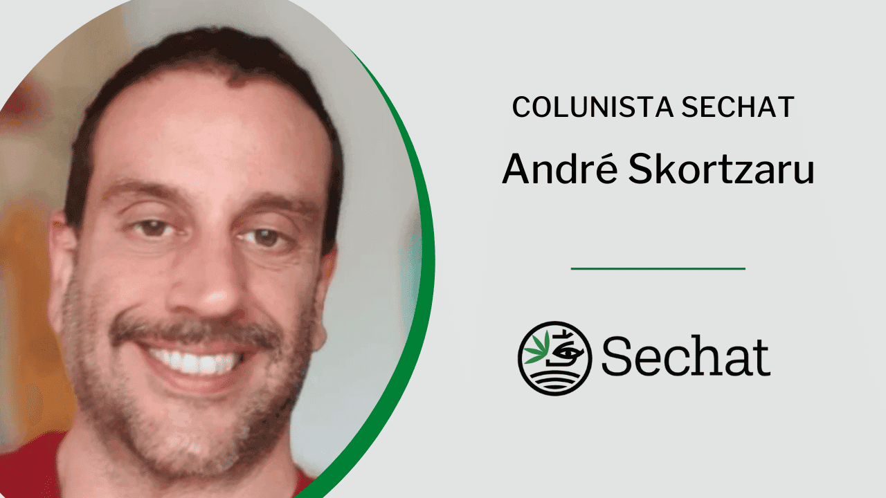 Plantas de poder: a conexão ancestral da cannabis com a sociedade contemporânea