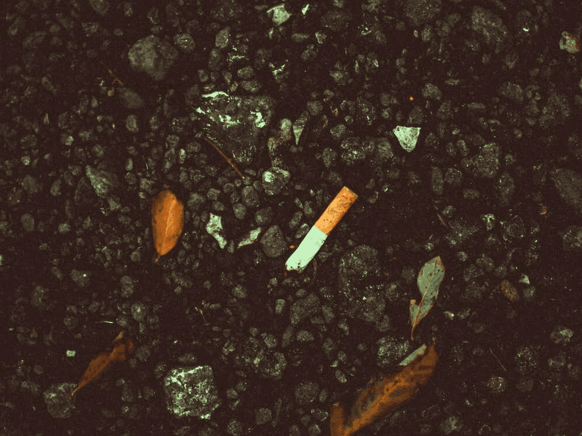 Por que os EUA consideram a maconha mais segura do que o tabaco?