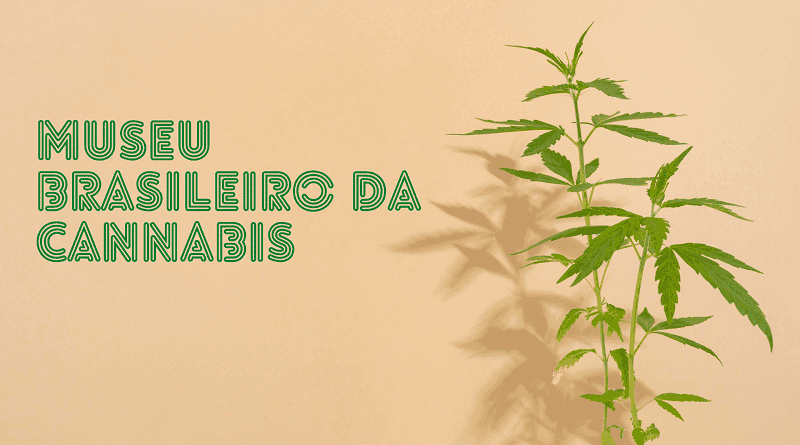 Primeiro museu da cannabis será inaugurado no Brasil