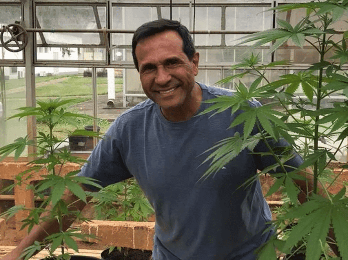 Professor responsável pelo banco genético de cannabis responde dúvidas sobre monopólio de mercado