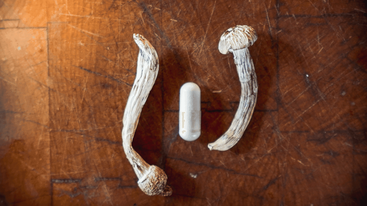 EUA aumentam produção legal de psilocibina e DMT para estudos médicos em 2026