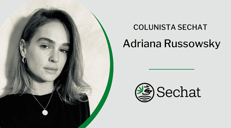 Quais Flores esperar na Colheita Brasileira: Overview da plantação de 2022