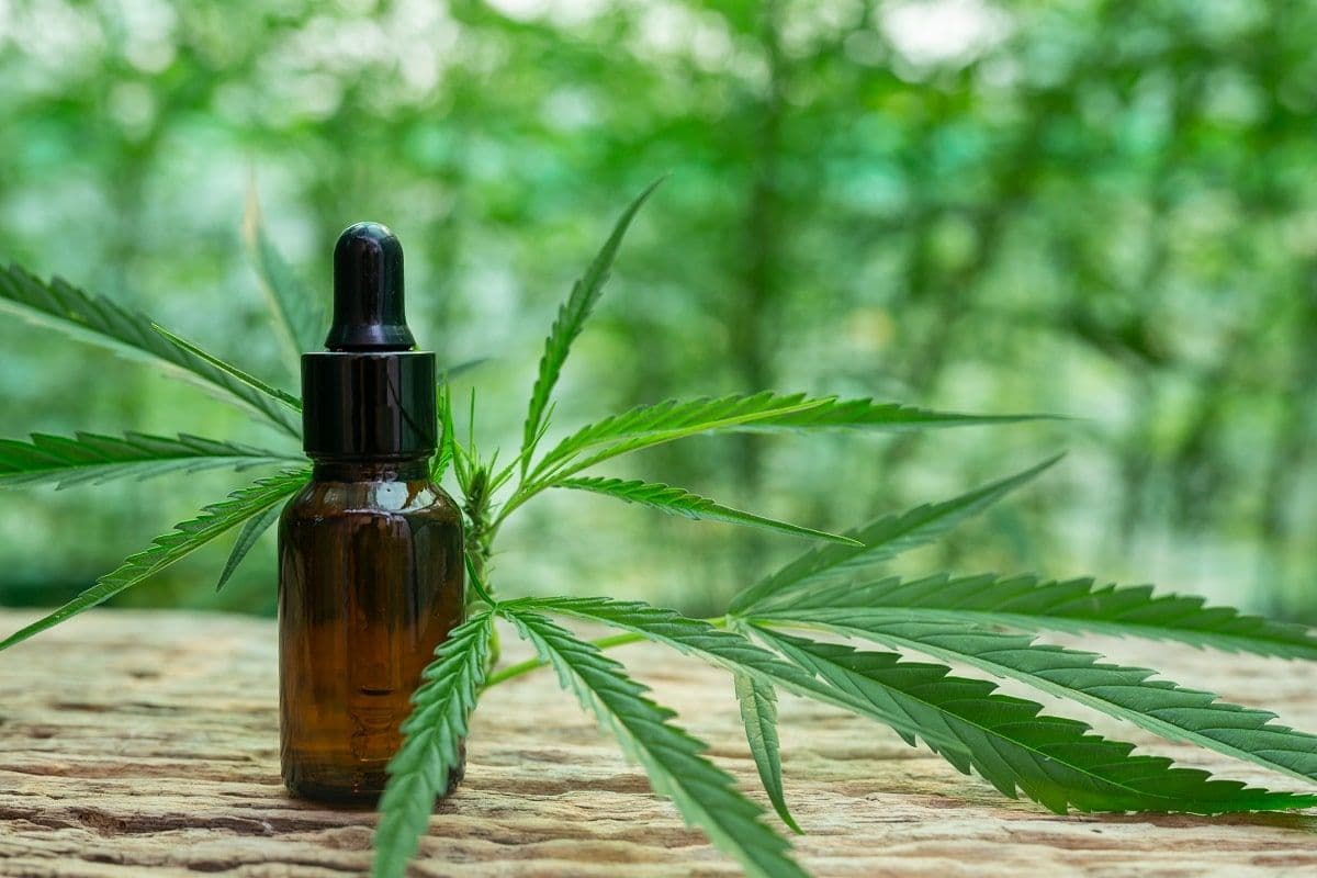OAB/RJ firma parcerias com empresas de cannabis para oferecer benefícios exclusivos aos advogados