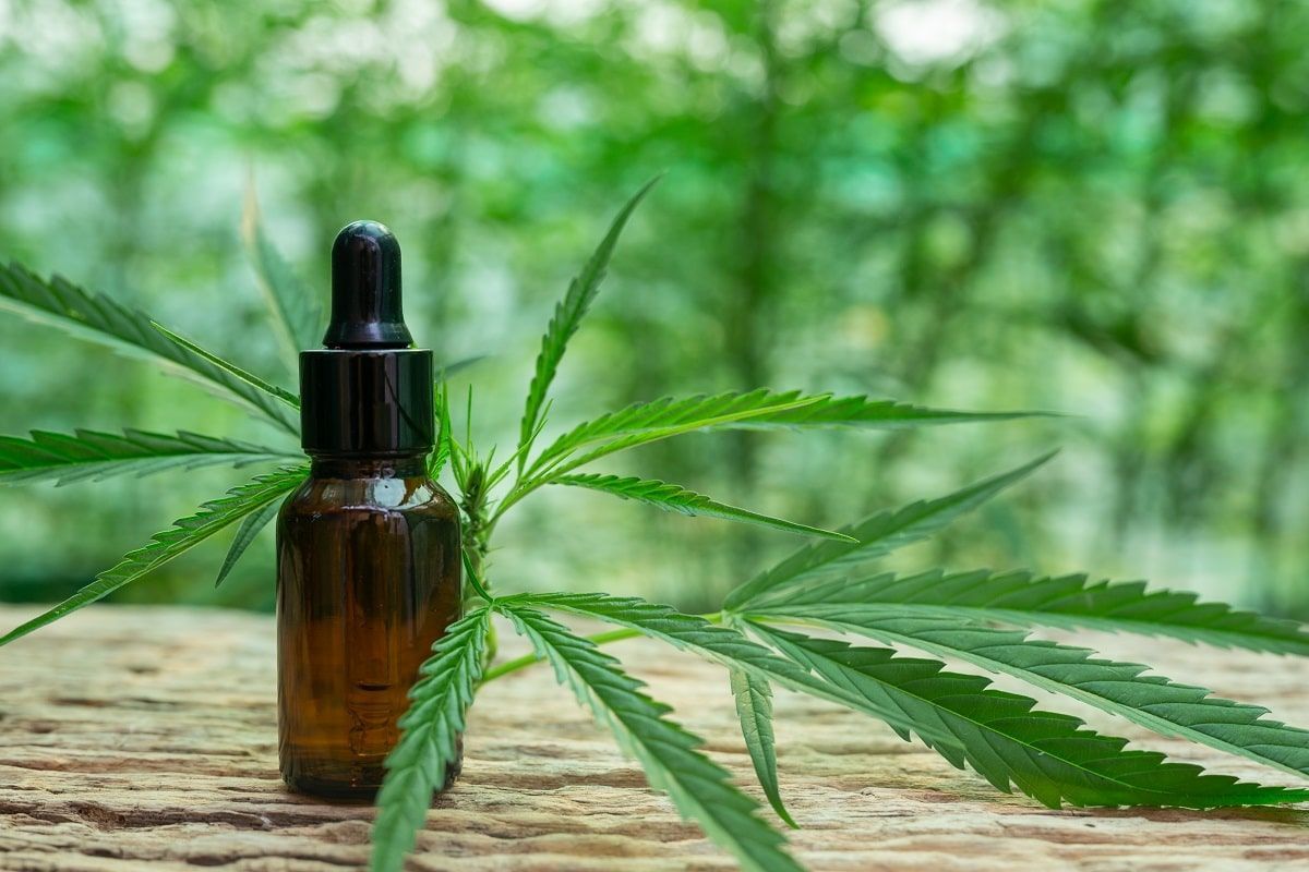 OAB/RJ firma parcerias com empresas de cannabis para oferecer benefícios exclusivos aos advogados