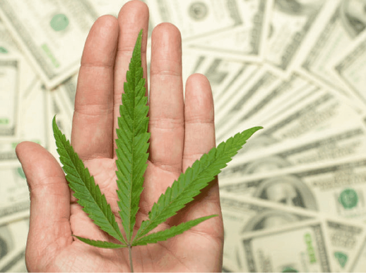 Reclassificação da cannabis pelo departamento de saúde dos EUA impulsiona o mercado