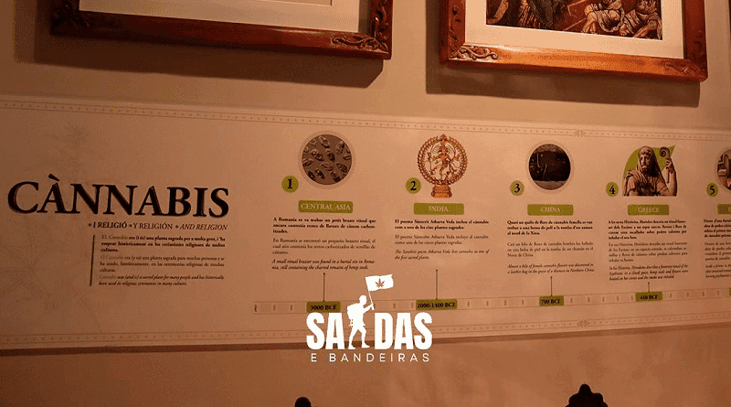 Saídas & Bandeiras: websérie aborda os usos da cannabis pelo mundo