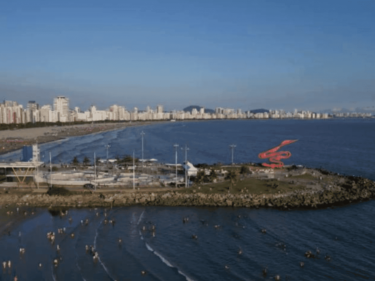 Santos aprova lei para fornecimento de cannabis medicinal no SUS