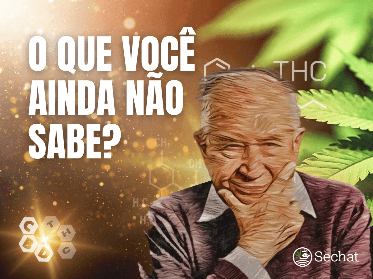 Sechat lança 3ª edição do Guia da Cannabis; material já está disponível para download