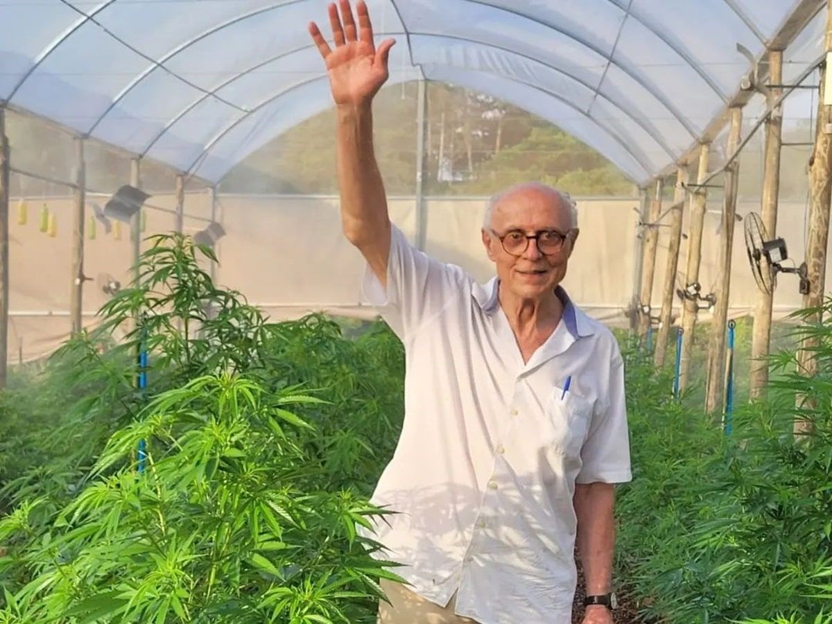 Suplicy se comove com histórias de pacientes; deputado cobra Congresso Nacional por votação da Lei de Cultivo de Cannabis