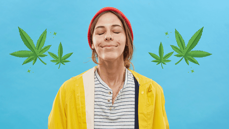 Terpenos atraem mais usuários de cannabis do que canabinoides, diz estudo