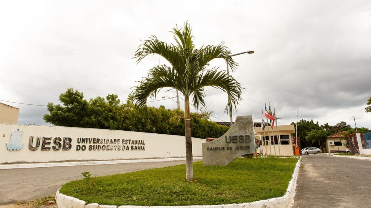 1º Simpósio “Ciência em Flor” debate usos medicinais e culturais da cannabis na Bahia