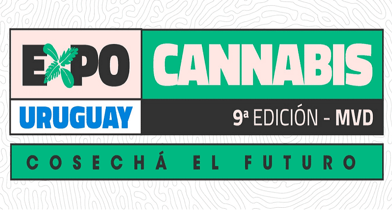 Uruguai reconecta negócios e cultura com o 9° edição da ExpoCannabis