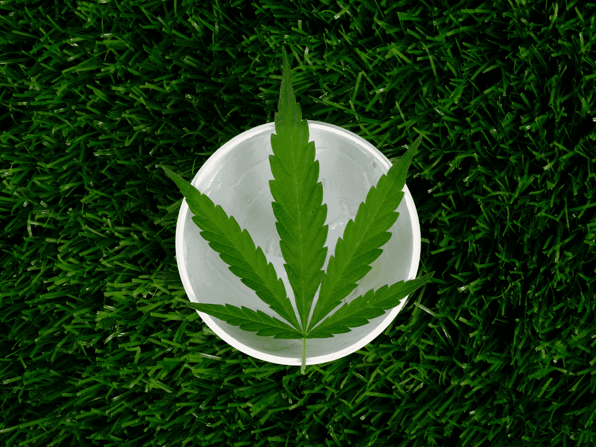Uso tópico da cannabis: uma revolução no mercado da beleza e dos esportes?