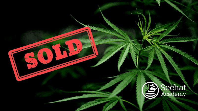 Vagas esgotadas: Sechat Academy capacita profissionais médicos