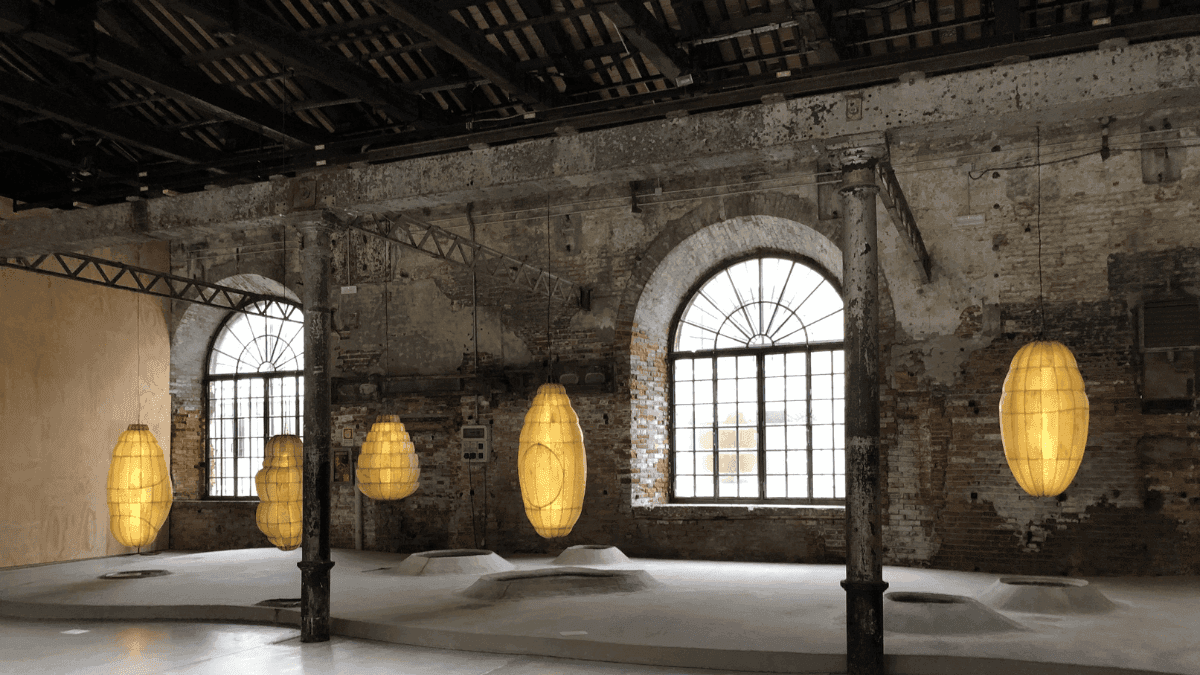Biennale Architettura 2025: Cânhamo como material sustentável e inovador na arquitetura