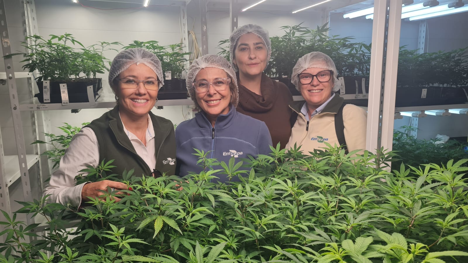 Embrapa participa de missão científica sobre cannabis na Argentina