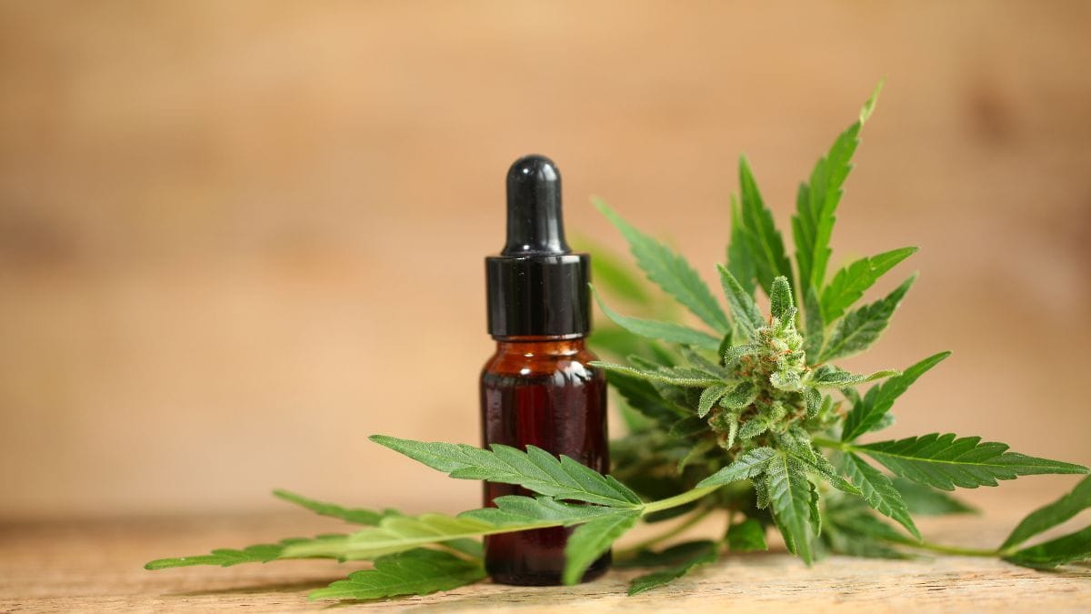 Extractos del Sur amplia atuação na Cannabis Fair 2026
