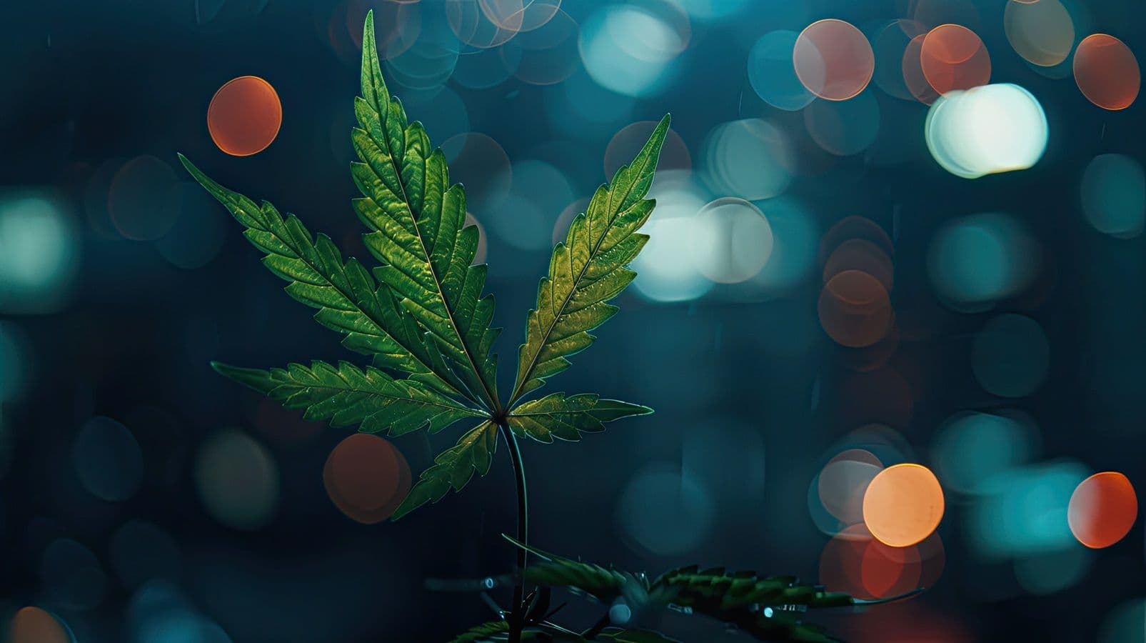 Quem vai libertar o gênio da lâmpada?