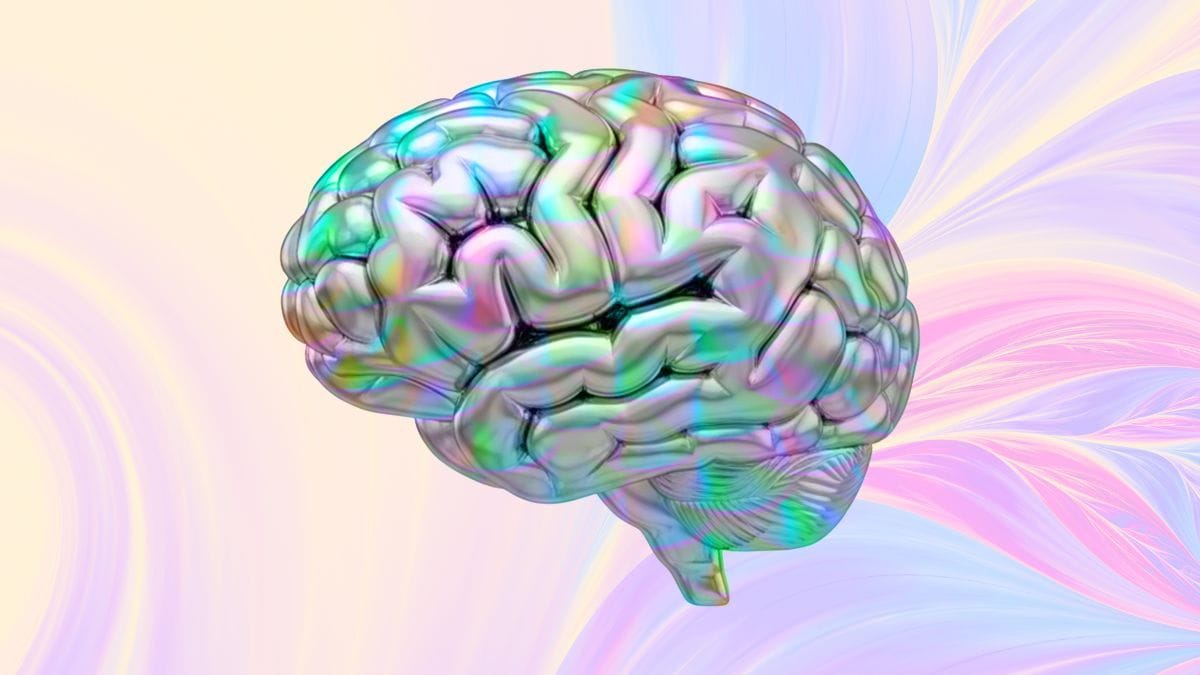 Auditório do Hub do InovaHC, local do mini-simpósio sobre psicoterapia assistida por psicodélicos promovido pelo Instituto Alma Viva.