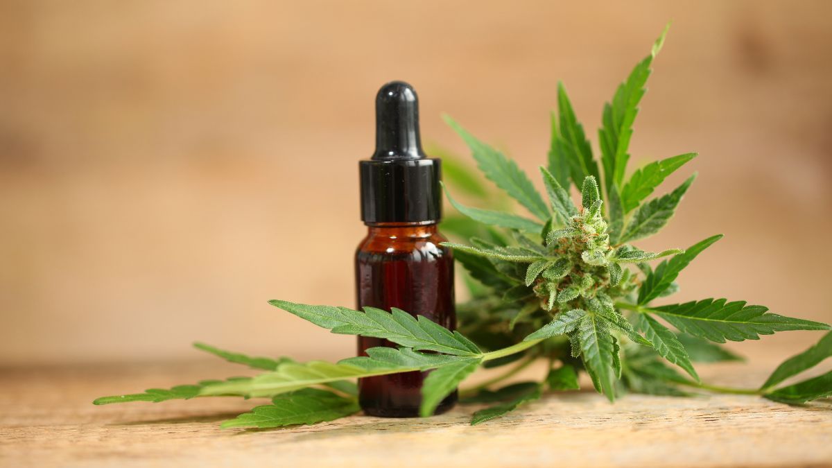 Anvisa proíbe oito produtos de cannabis por falta de registro